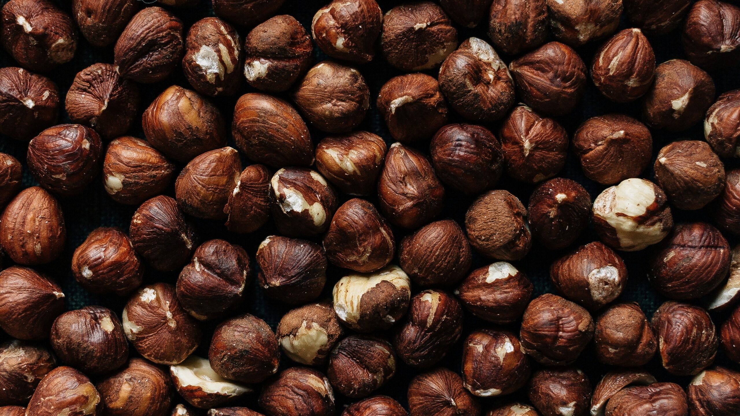 Roasted Hazelnuts